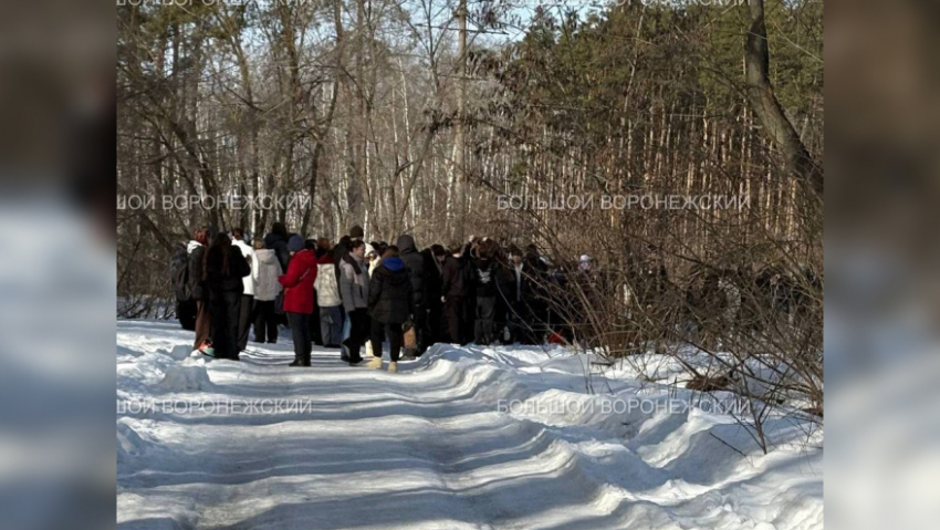 В воронежские колледжи массово разослали сообщения о минировании