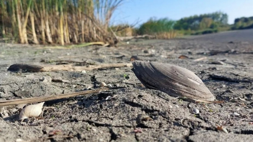 В панинском селе неизвестные уничтожили водоём