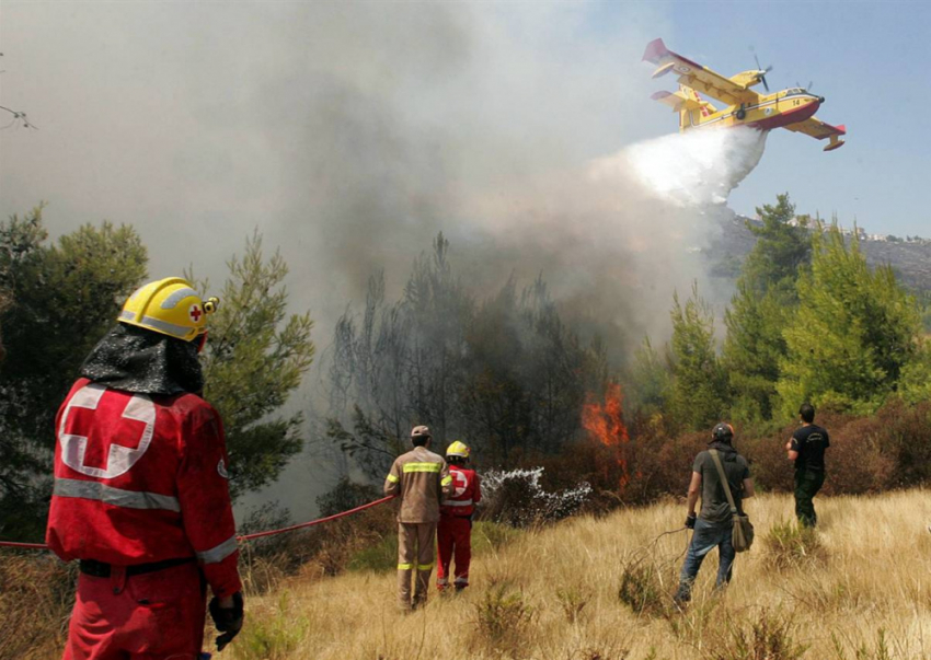 Воронежские лесные пожарные получили новую технику