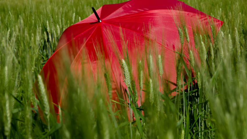 Стало известно, дойдёт ли циклон «Корнелиус» до Воронежской области