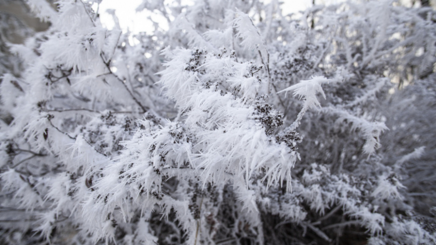В Воронежской области объявили штормовое предупреждение из-за аномальных холодов