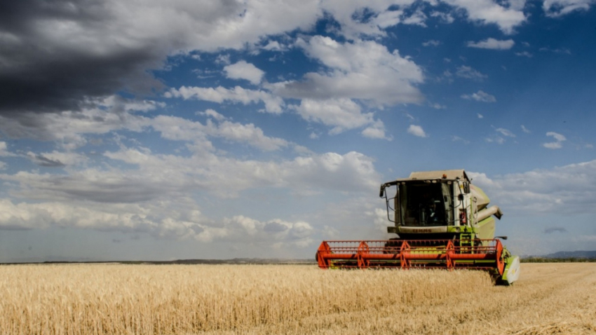В Воронежской области стартовала уборочная кампания