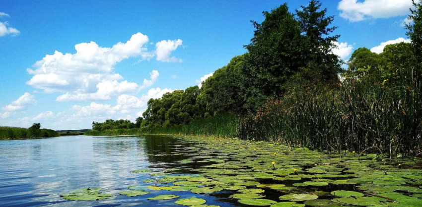 В Эртильском районе пройдёт акция «Родные берега»