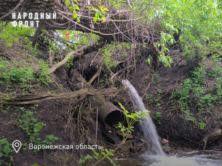 Аварийную плотину в Панинском районе пообещали отремонтировать к сентябрю