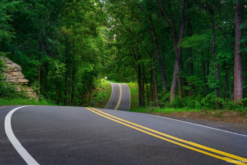 В Эртильском районе расчистят дороги от порослей