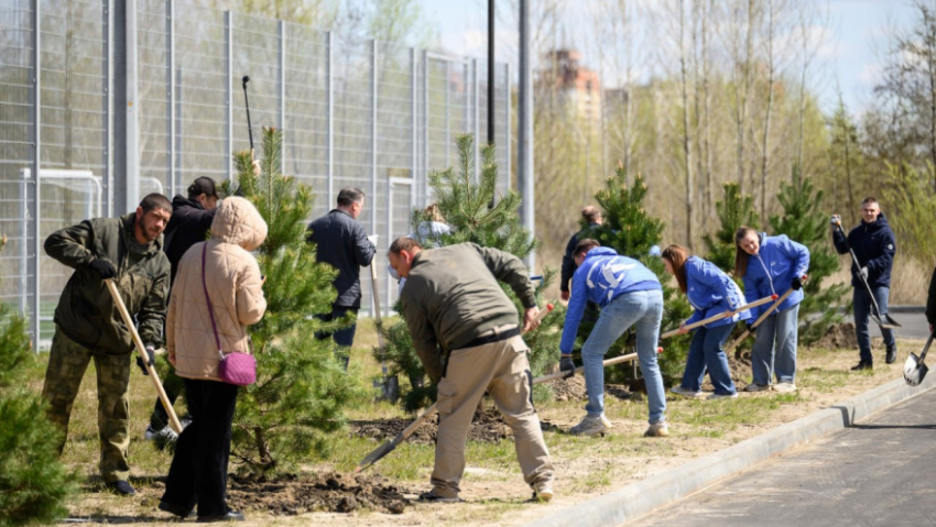 В субботнике в Воронежской области приняли участие более 111 тыс человек