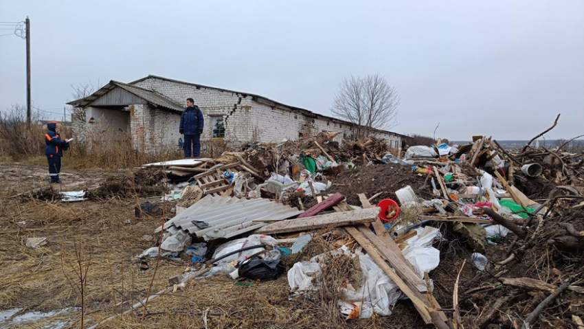 В 2024 году в Воронежской области ликвидировали 27 незаконных свалок