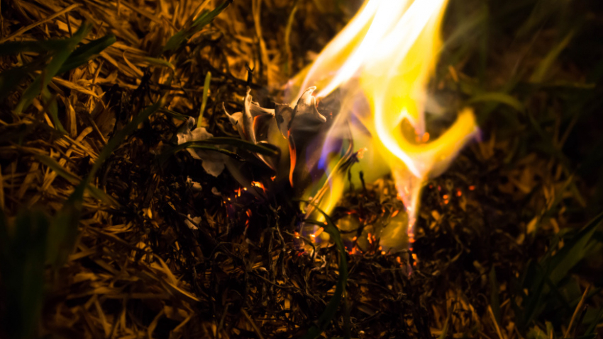 С 15 апреля в Воронежской области введут особый противопожарный режим