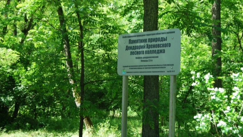 Хреновской лесной колледж проведёт бесплатную экскурсию по дендрарию