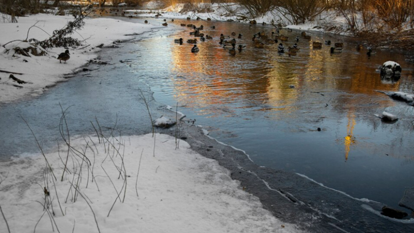 В Воронежской области в преддверии паводка обследуют берега рек