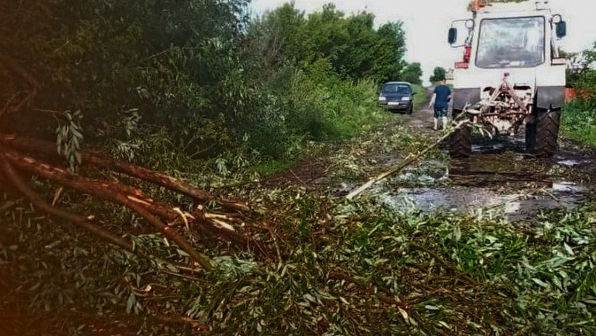 Мощный ураган оставил без света и воды село в Панинском районе