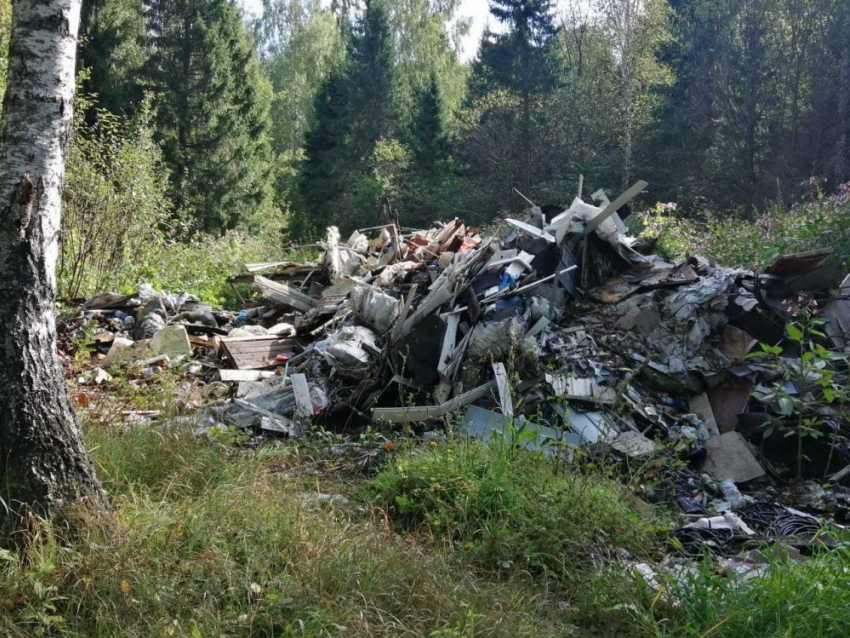 В Аннинском районе оштрафовали главу поселения за повреждённые деревья