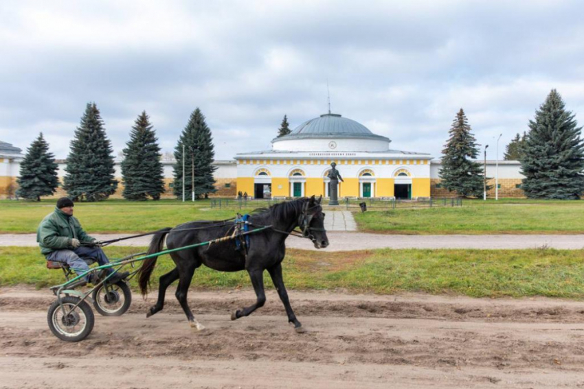 В Бобровском районе отремонтировали подъезд к Хреновскому конезаводу