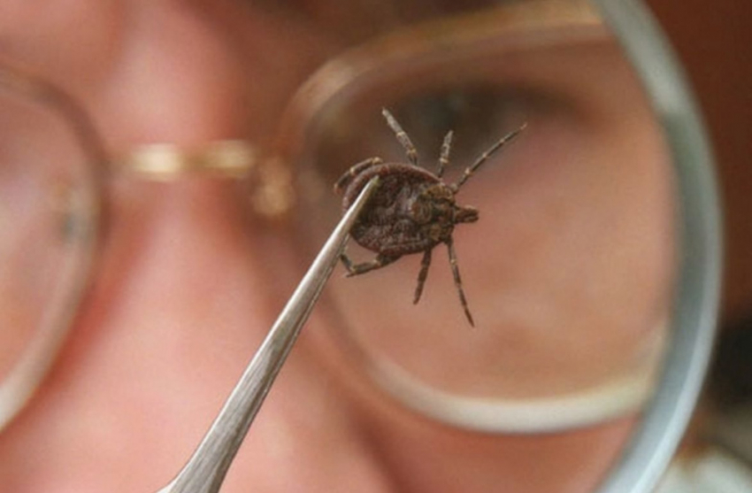 Воронежские санитарные врачи подвели итоги инфекционной заболеваемости в регионе