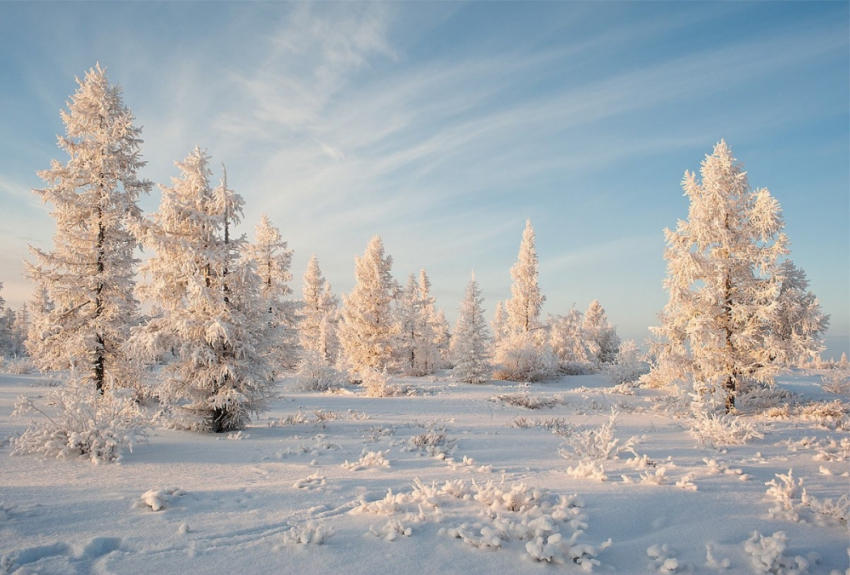 Стало известно, какая погода будет в декабре в Воронежской области