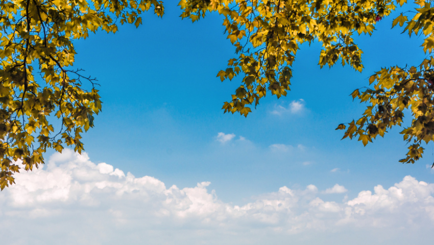 Синоптики сообщили о погоде в Воронежской области в сентябре