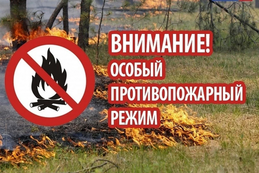 В Воронежской области с 1 апреля введут противопожарный режим