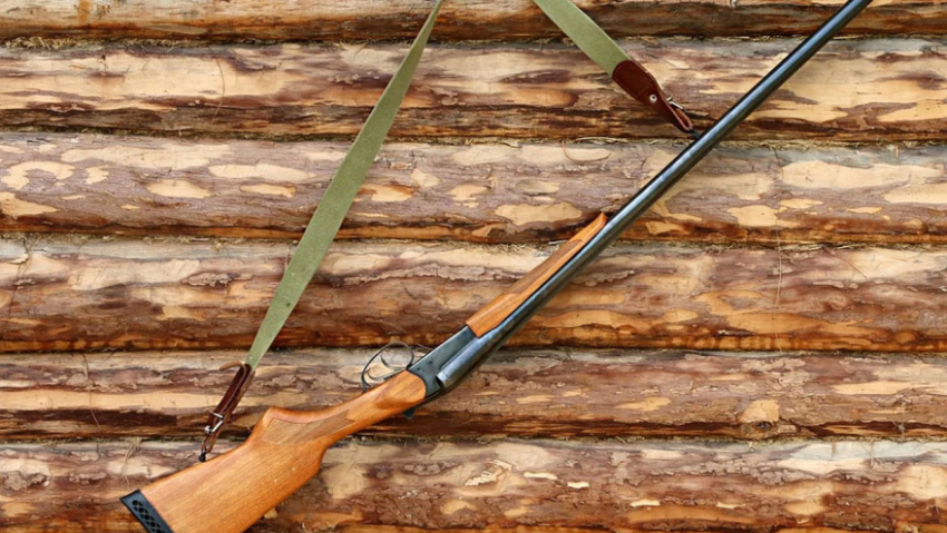 Воронежским охотникам напомнили о необходимости сдать разрешение на добычу пушных животных