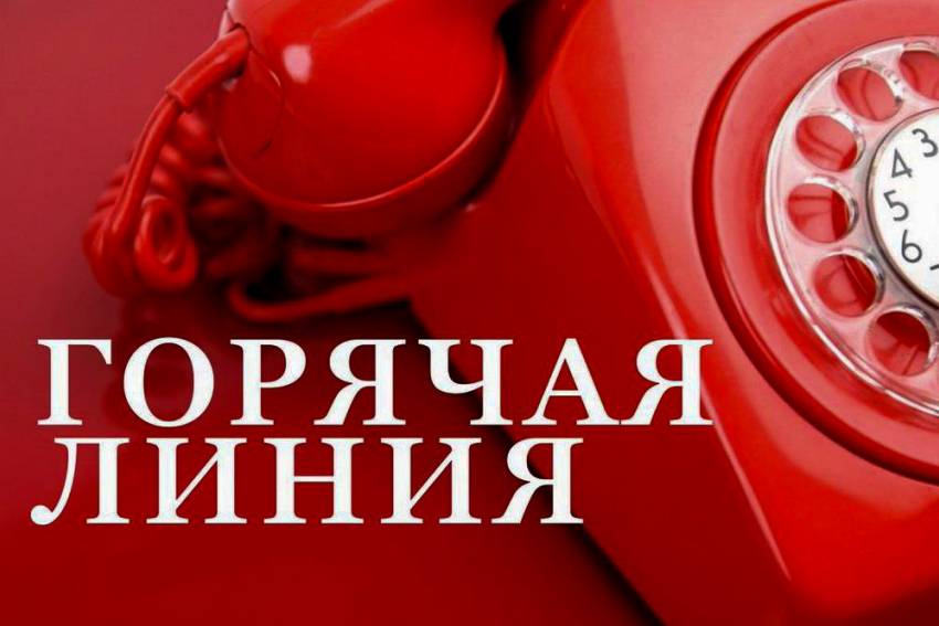 В Воронежской области запустили горячую линию по вопросам туризма и отдыха