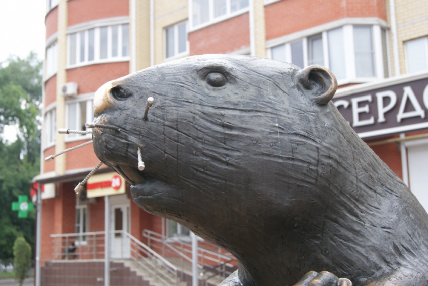 Жителей Бобровского района приглашают на батл поэтов и кинопоказ