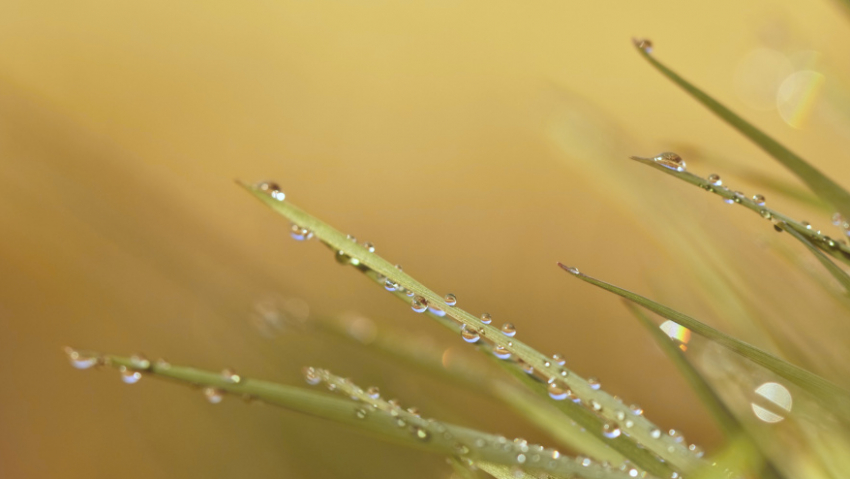 На выходных в Воронежской области ожидаются град, грозы и сильный ветер