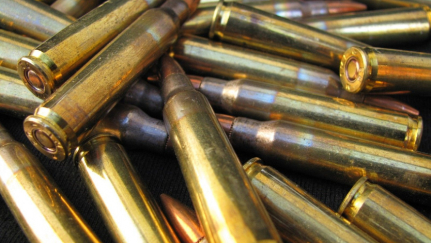 За неделю росгвардейцы Воронежской области изъяли 12 единиц оружия