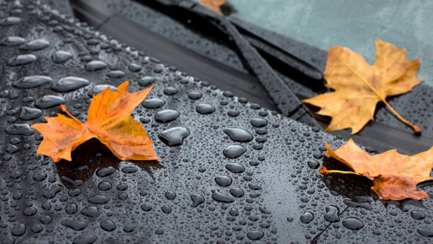 В Воронежской области в выходные выпадет более половины месячной нормы осадков