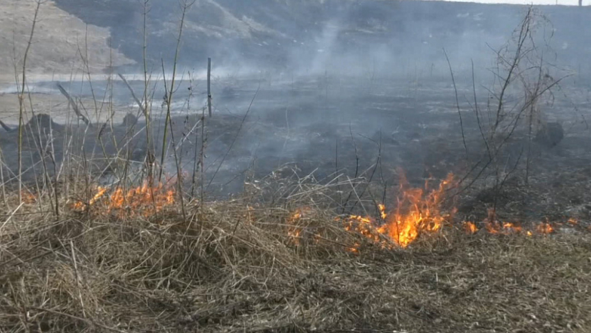 В пяти районах Воронежской области действует высокий уровень пожарной опасности