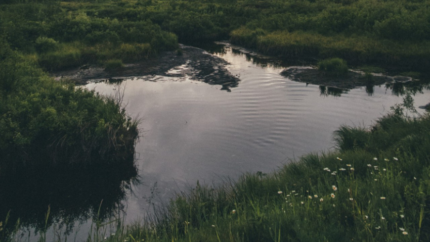 В Панинском районе капитально отремонтируют плотину Шанинского пруда