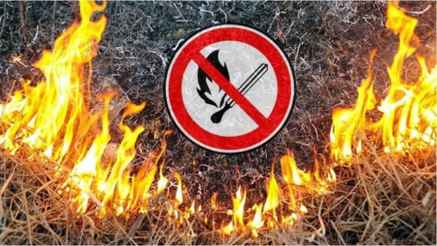 В Воронежской области повысили класс пожарной опасности