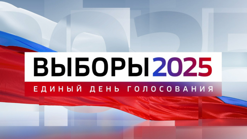Как в Воронежской области будут работать школы и детские сады в дни выборов