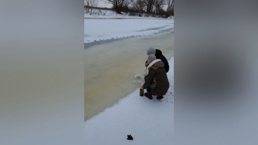 В реках Аннинского и Бобровского районов массово гибнет рыба