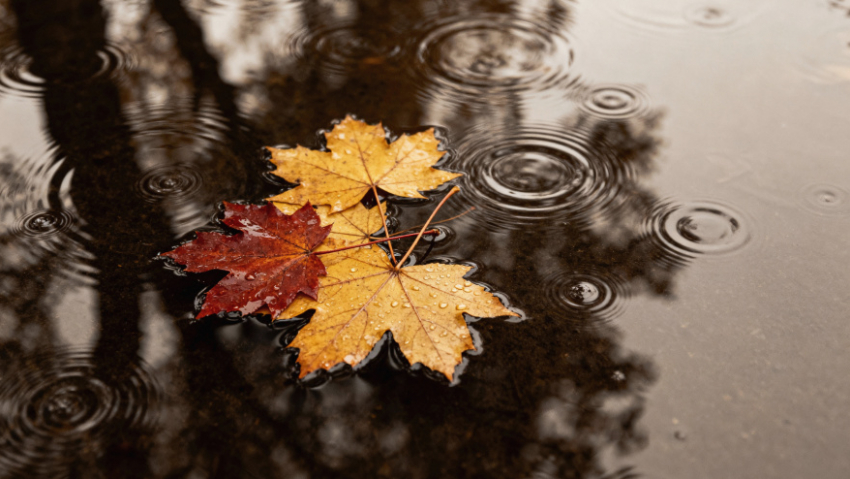 Воронежских автомобилистов призвали к осторожности в связи с ухудшением погодных условий