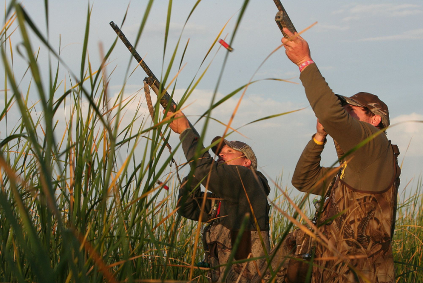В Воронежской области назвали даты открытия охотничьего сезона на пернатую дичь