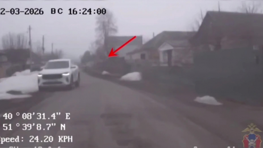 В Панинском районе пьяный водитель пытался уехать от полицейских