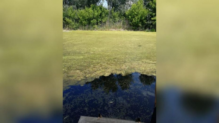 Жителей села Новая Чигла приглашают на субботник по очистке реки