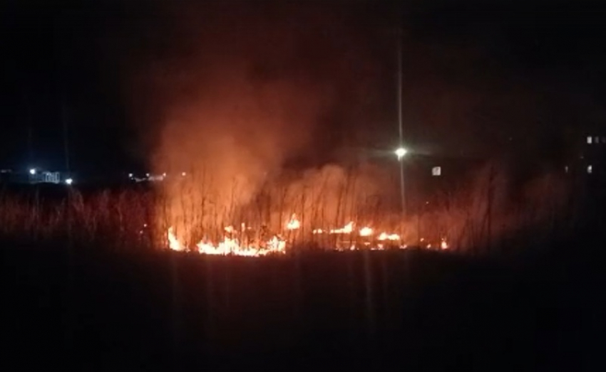 В Аннинском, Панинском и Эртильском районах Воронежской области установили III класс пожарной опасности