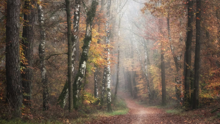В Воронежской области за неделю пропали три ребёнка