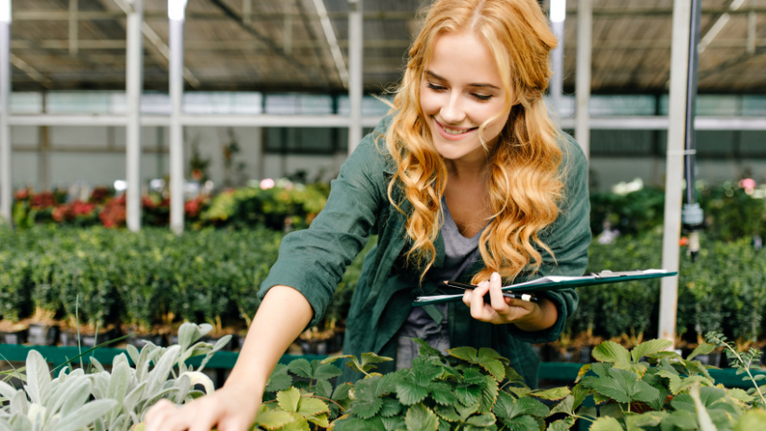 Сотрудники Россельхознадзора выявили в Воронежской области продажу опасных семян