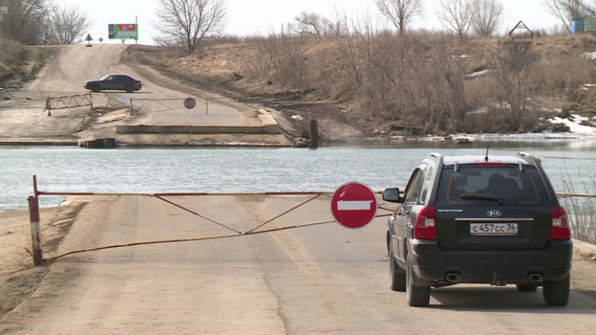 Все затопленные мосты в Воронежской области освободились от воды