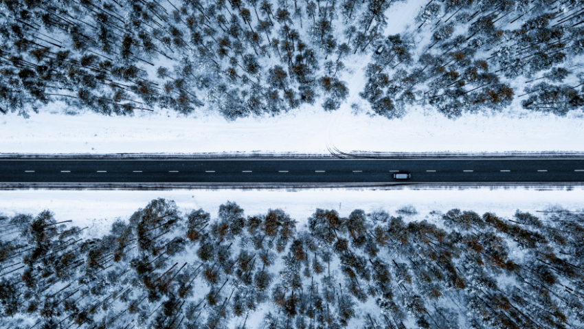 В Воронежской области ожидается сильный ветер, метель и мокрый снег