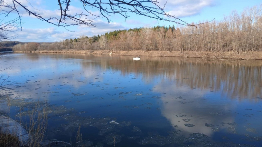 В Воронежской области водолазы начали поиски троих мужчин