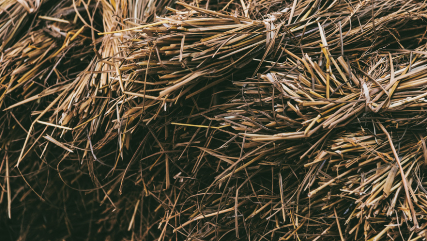 В Таловском посёлке в пожаре сгорели 2,5 тонны сена