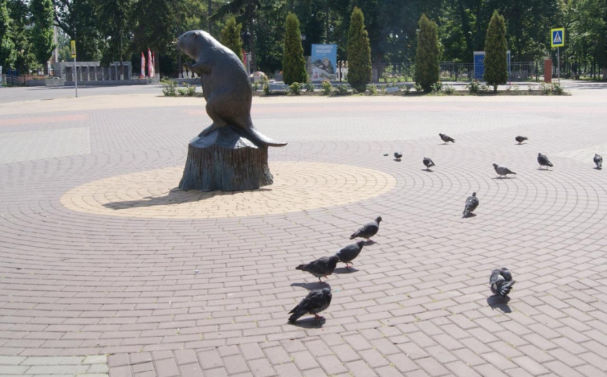 Жителей Боброва приглашают на интеллектуальный баттл «Разных народов большая семья»