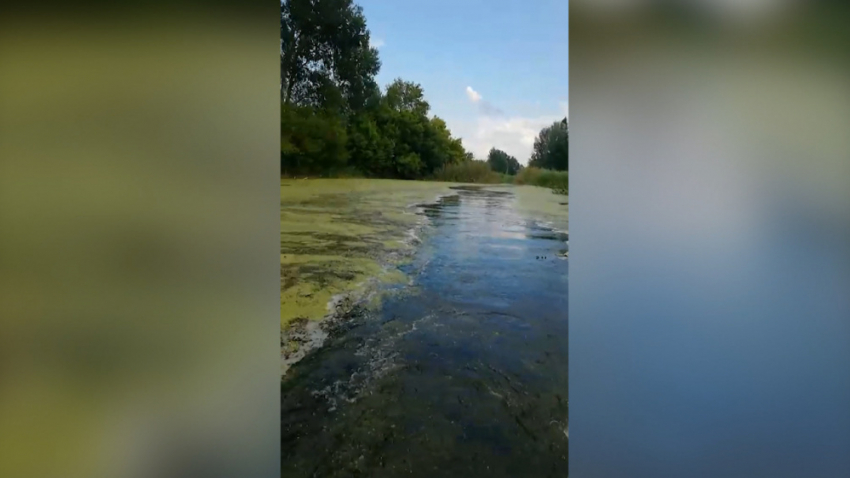 В Таловском районе заросла река Чигла