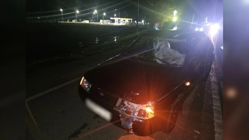 В Воронежской области 39-летний мужчина насмерть сбил пенсионера