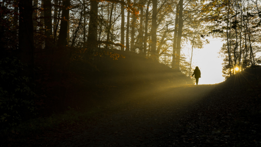 В Воронежской области за неделю нашли 20 пропавших человек 